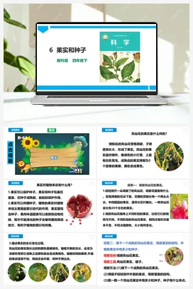 《果实和种子》课件 教科版小学科学四年级下册