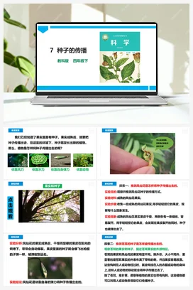 《种子里孕育着新生命》教案 教科版小学科学四年级下册