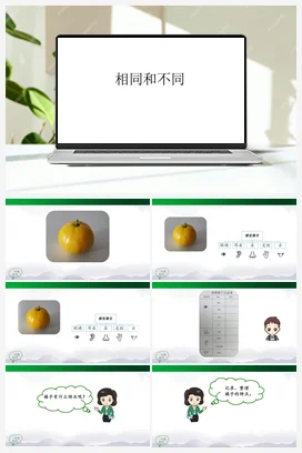 1.3 相同和不同 课件（36张ppt） 3个内嵌视频 人教鄂教版小学科学一年级上册