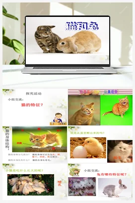 2.5 猫和兔 （课件 共28张PPT） 人教鄂教版小学科学一年级上册