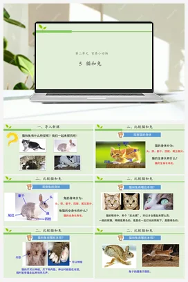 2.5 猫和兔 课件（17张ppt） 教案 视频 人教鄂教版小学科学一年级上册