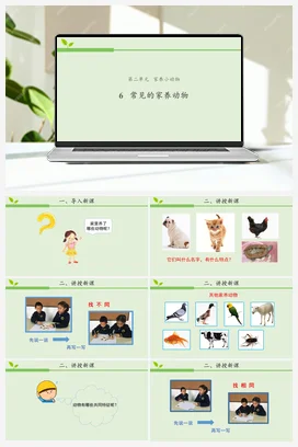 2.6 常见的家养动物 课件（22张ppt） 教案 动画素材 人教鄂教版小学科学一年级上册