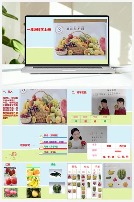 3《相同与不同》课件（14张ppt）+教案+练习 人教鄂教版小学科学一年级上册