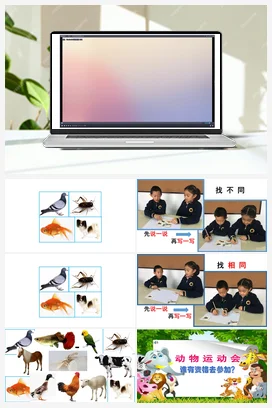 6 常见的家养动物 课件（12张ppt） 人教鄂教版小学科学一年级上册