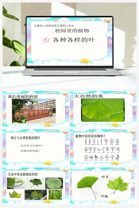 1.1 各种各样的叶 课件（16张PPT）+教案+活动记录表+视频 人教鄂教版小学科学一年级下册