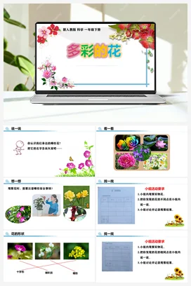 1.2 多彩的花 （课件10张PPT） 人教鄂教版小学科学一年级下册