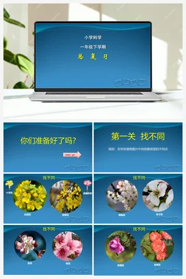 复习课件+期末试卷（含答案） 人教鄂教版小学科学一年级下册