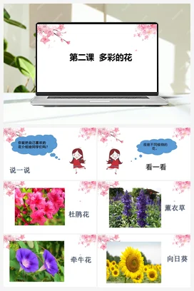 第02课：多彩的花（PPT课件+教案） 人教鄂教版小学科学一年级下册