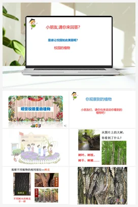 第03课：观察校园里的植物（PPT课件+视频素材） 人教鄂教版小学科学一年级下册