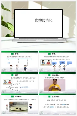 1.3《食物的消化》课件（25张ppt）+内嵌视频 人教鄂教版小学科学三年级上册