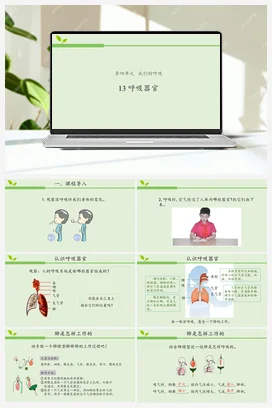 13 呼吸器官 课件（共11张ppt）+教案+活动设计 人教鄂教版小学科学三年级上册