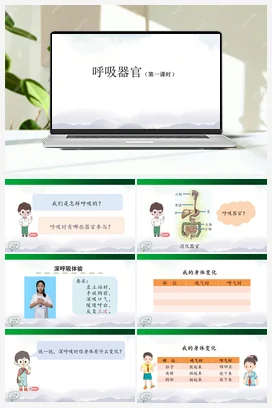 4.13 呼吸器官（2课时） 课件（38+27张ppt）+5个内嵌视频 人教鄂教版小学科学三年级上册