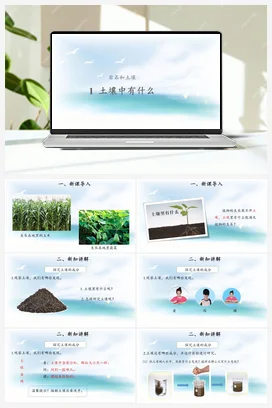 1.1 土壤里有什么 （课件17张PPT 教案） 人教鄂教版小学科学三年级下册