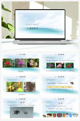 2.4 播种发芽 （课件12张PPT 教案） 人教鄂教版小学科学三年级下册
