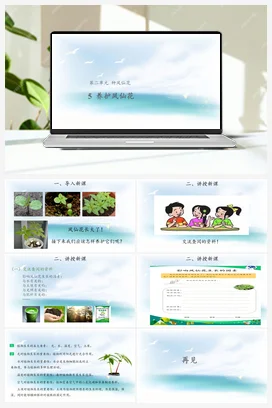 2.5 养护凤仙花 （课件7张PPT 教案） 人教鄂教版小学科学三年级下册