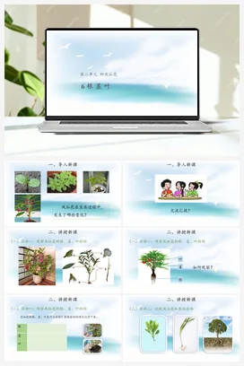 2.6 根 茎 叶 （课件12张PPT 教案） 人教鄂教版小学科学三年级下册