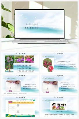 2.7 花 果实 种子 （课件15张PPT 教案） 人教鄂教版小学科学三年级下册