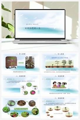 2.8 凤仙花的一生 （课件10张PPT 教案） 人教鄂教版小学科学三年级下册