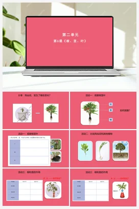 6《根 茎 叶》 (课件共9张PPT) 人教鄂教版小学科学三年级下册