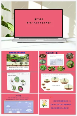 8《凤仙花的生命周期》 (课件共9张PPT) 人教鄂教版小学科学三年级下册