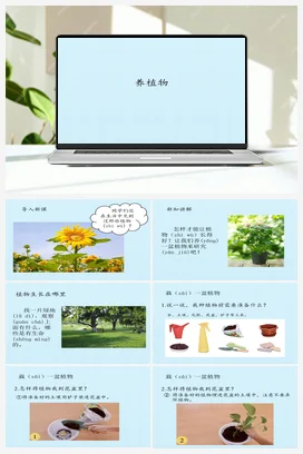 01 养植物 (共14张PPT) 课件 人教鄂教版小学科学二年级上册