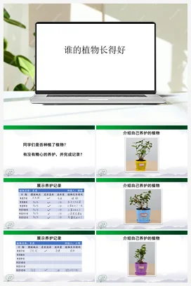02 谁的植物长得好 (共26张PPT) 课件 人教鄂教版小学科学二年级上册
