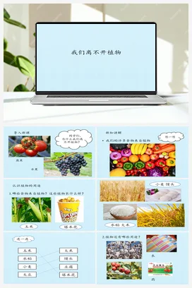 03 我们离不开植物 (共14张PPT) 课件 人教鄂教版小学科学二年级上册