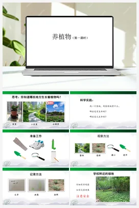 1.1 养植物 课件 (第01课时)(38张ppt)+2个内嵌视频 人教鄂教版小学科学二年级上册