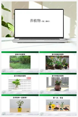 1.1 养植物 课件 (第02课时) (27张ppt)+2个内嵌视频 人教鄂教版小学科学二年级上册