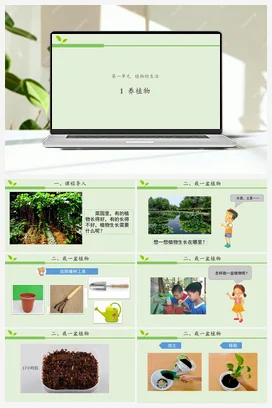 1.1 养植物 课件（共16张ppt）+视频+活动设计单+教案 人教鄂教版小学科学二年级上册