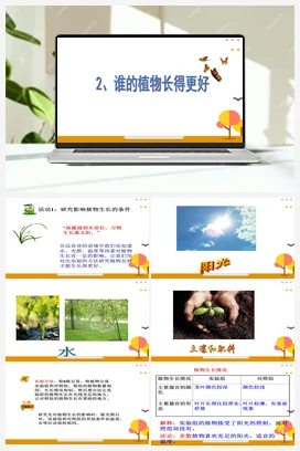 1.2 谁的植物长得好 课件（12张PPT）+教案 人教鄂教版小学科学二年级上册