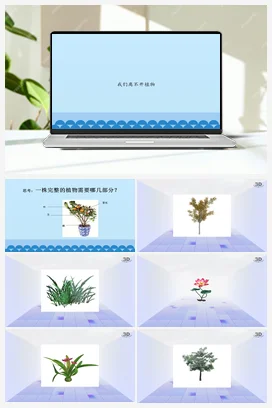 1.3 我们离不开植物课件（53张PPT） 人教鄂教版小学科学二年级上册