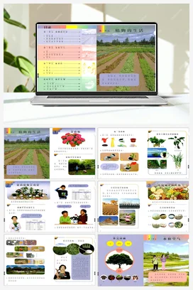 电子课本+教学计划（含进度） 人教鄂教版小学科学二年级上册