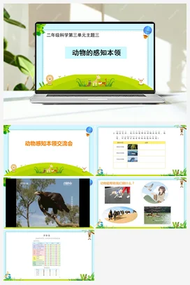 人教鄂教版小学科学二年级下册3.9 动物的感知本领 课件（共6张PPT） 教案 视频
