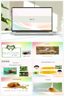 8蜗牛 (课件共19张PPT) 人教鄂教版小学科学二年级下册