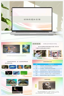 9动物的感知本领 (课件共16张PPT) 人教鄂教版小学科学二年级下册
