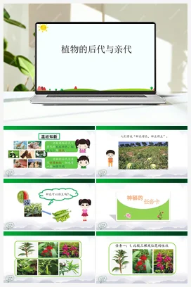 2.6 植物的后代与亲代 课件(32张ppt)+内嵌视频 人教鄂教版小学科学五年级上册