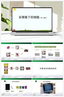 3.9 显微镜下的细胞 (第2课时) 课件(23张ppt)+3个内嵌视频+教学设计+任务单+课后练习 人教鄂教版小学科学五年级上册