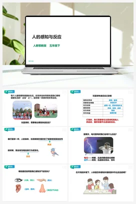 3.8《人的感知与反应》课件（44张PPT）+教案+练习+素材 人教鄂教版小学科学五年级下册
