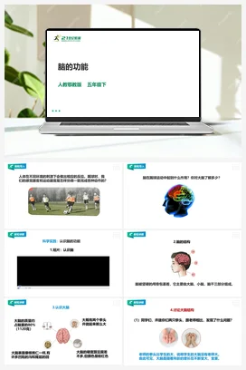 3.9《脑的功能》课件（31张PPT）+教案+练习+素材 人教鄂教版小学科学五年级下册