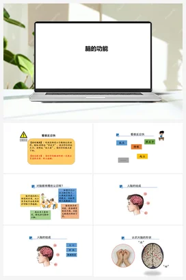 9 脑的功能（PPT课件+教学设计+视频素材） 人教鄂教版小学科学五年级下册