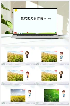 2.5 植物的光合作用（2课时） 课件(27+30张ppt)+2个内嵌视频 人教鄂教版小学科学六年级上册