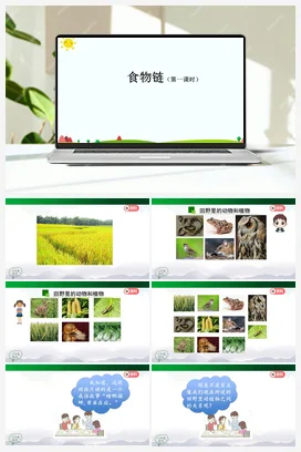 2.6 食物链（2课时） 课件(39+30张ppt) 人教鄂教版小学科学六年级上册