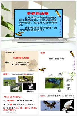1.1 鸟和哺乳动物（课件17张ppt 2个素材） 人教鄂教版小学科学四年级上册