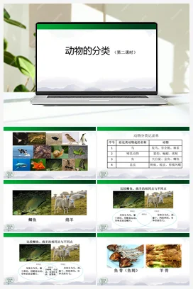 1.2 动物的分类（第2课时）课件(44张ppt)+内嵌视频+教案 人教鄂教版小学科学四年级上册