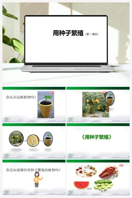 2.4 用种子繁殖（3课时）课件(61+47+39张ppt)+7个内嵌视频 人教鄂教版小学科学四年级上册