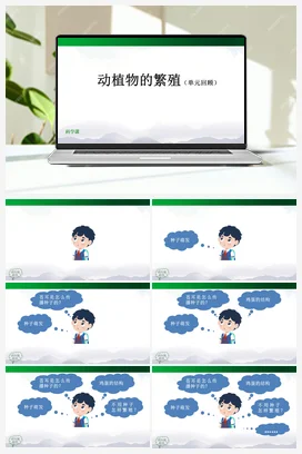 复习课件+知识点总结 人教鄂教版小学科学四年级上册