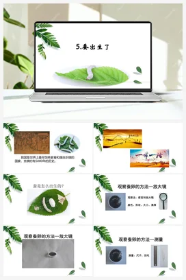 05：蚕出生了（PPT课件+教学设计） 人教鄂教版小学科学四年级下册