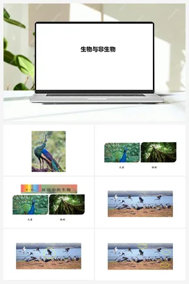 09：生物与非生物 课件 人教鄂教版小学科学四年级下册