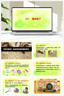 2.5蚕出生了 课件+教案+视频素材 人教鄂教版小学科学四年级下册